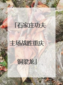石家庄功夫主场战胜重庆铜梁龙