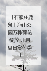 石家庄鹿泉丨海山公园万株荷花绽放 开启夏日赏荷季