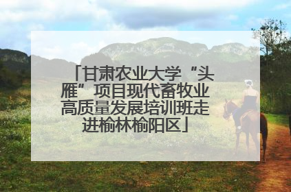 甘肃农业大学“头雁”项目现代畜牧业高质量发展培训班走进榆林榆阳区
