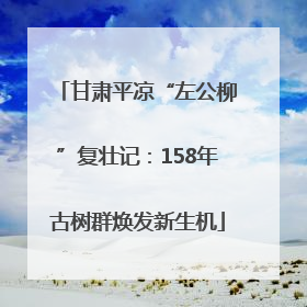 甘肃平凉“左公柳”复壮记：158年古树群焕发新生机