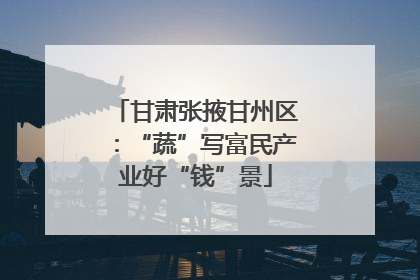 甘肃张掖甘州区：“蔬”写富民产业好“钱”景