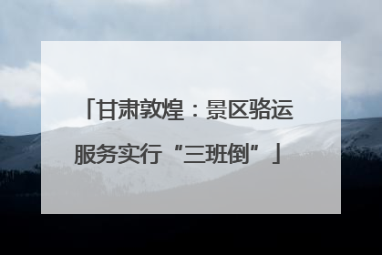 甘肃敦煌：景区骆运服务实行“三班倒”