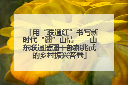 用“联通红”书写新时代“疆”山情——山东联通援疆干部郝兆武的乡村振兴答卷