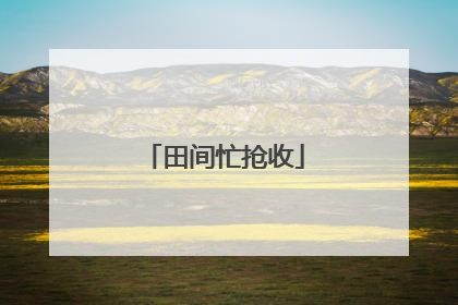 田间忙抢收