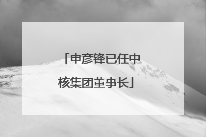 申彦锋已任中核集团董事长