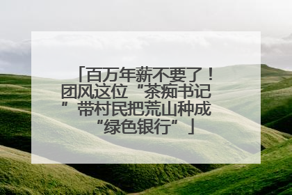 百万年薪不要了！团风这位“茶痴书记”带村民把荒山种成“绿色银行”