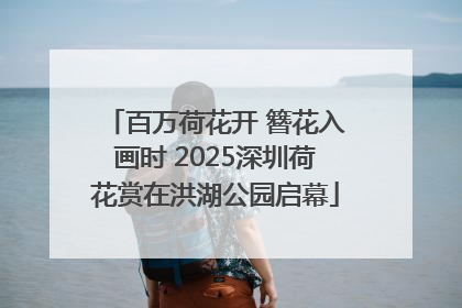 百万荷花开 簪花入画时 2025深圳荷花赏在洪湖公园启幕