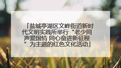 盐城亭湖区文峰街道新时代文明实践所举行“老少同声爱国情 同心奋进新征程”为主题的红色文化活动