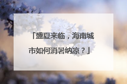 盛夏来临，海南城市如何消暑纳凉？