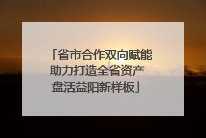 省市合作双向赋能 助力打造全省资产盘活益阳新样板