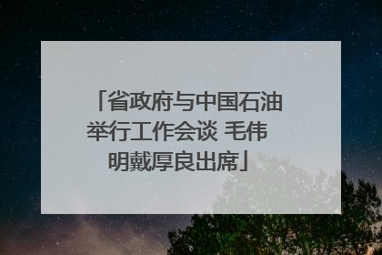 省政府与中国石油举行工作会谈 毛伟明戴厚良出席