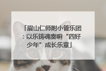 眉山仁师附小管乐团：以乐铸魂奏响“四好少年”成长乐章