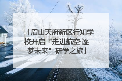 眉山天府新区行知学校开启“走进航空·逐梦未来”研学之旅