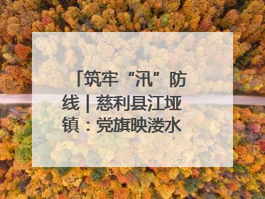 筑牢“汛”防线｜慈利县江垭镇：党旗映溇水 清淤见担当