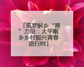 筑梦斛乡“青”力量：太平畈乡乡村振兴青春进行时