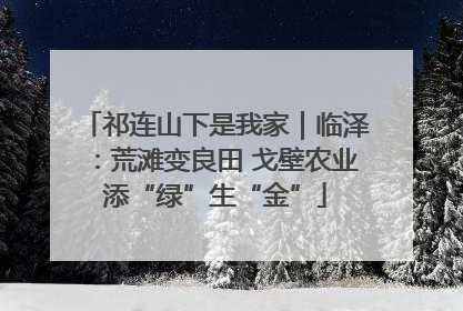 祁连山下是我家｜临泽：荒滩变良田 戈壁农业添“绿”生“金”