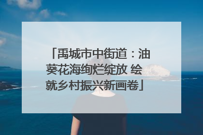 禹城市中街道：油葵花海绚烂绽放 绘就乡村振兴新画卷