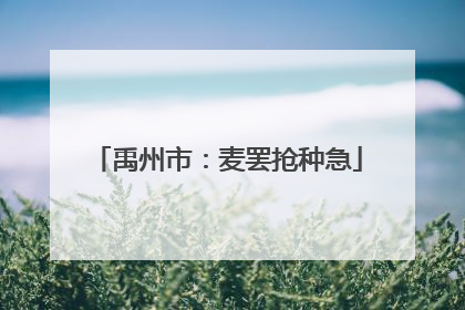 禹州市：麦罢抢种急