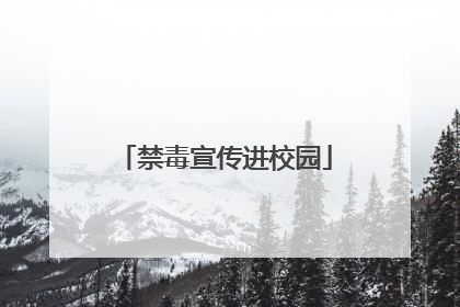 禁毒宣传进校园