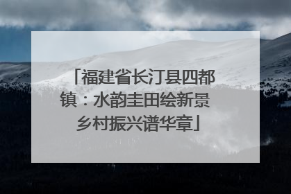 福建省长汀县四都镇：水韵圭田绘新景 乡村振兴谱华章
