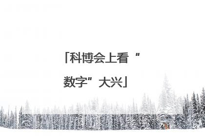科博会上看“数字”大兴