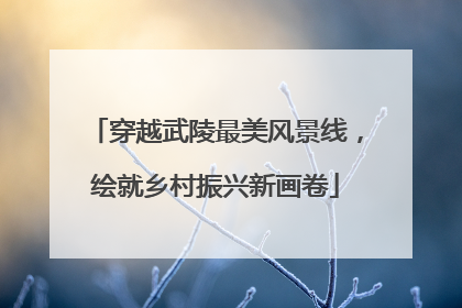 穿越武陵最美风景线，绘就乡村振兴新画卷