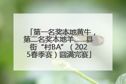 第一名奖本地黄牛，第二名奖本地羊……县街“村BA”（2025春季赛）圆满完赛