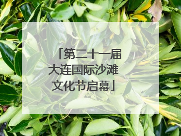 第二十一届大连国际沙滩文化节启幕