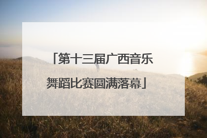 第十三届广西音乐舞蹈比赛圆满落幕