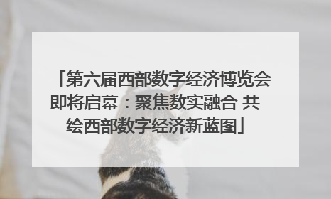 第六届西部数字经济博览会即将启幕：聚焦数实融合 共绘西部数字经济新蓝图