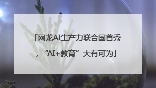 网龙AI生产力联合国首秀，“AI+教育”大有可为