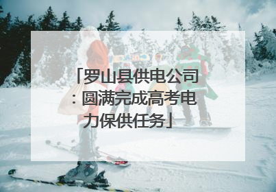 罗山县供电公司：圆满完成高考电力保供任务