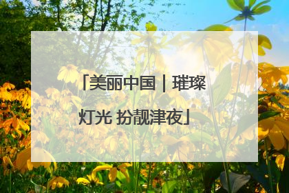 美丽中国｜璀璨灯光 扮靓津夜