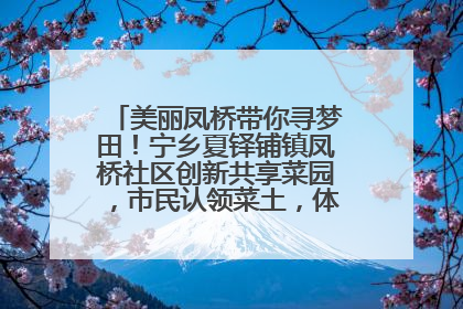 美丽凤桥带你寻梦田！宁乡夏铎铺镇凤桥社区创新共享菜园，市民认领菜土，体验耕种收获乐趣