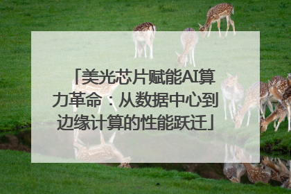 美光芯片赋能AI算力革命：从数据中心到边缘计算的性能跃迁