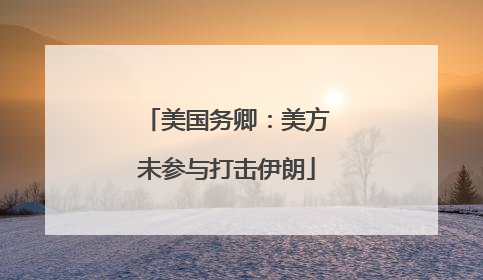 美国务卿：美方未参与打击伊朗