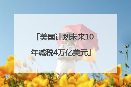 美国计划未来10年减税4万亿美元