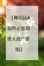 粤宏远A拟终止筹划重大资产重组