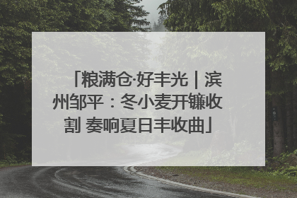 粮满仓·好丰光｜滨州邹平：冬小麦开镰收割 奏响夏日丰收曲