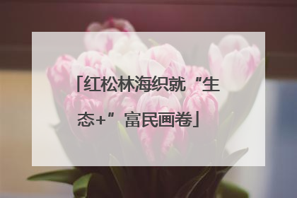 红松林海织就“生态+”富民画卷