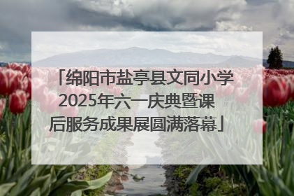 绵阳市盐亭县文同小学2025年六一庆典暨课后服务成果展圆满落幕