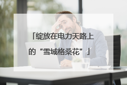 绽放在电力天路上的“雪域格桑花”