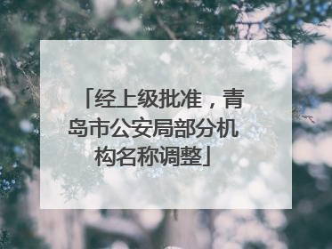 经上级批准，青岛市公安局部分机构名称调整