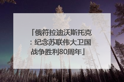 俄符拉迪沃斯托克：纪念苏联伟大卫国战争胜利80周年