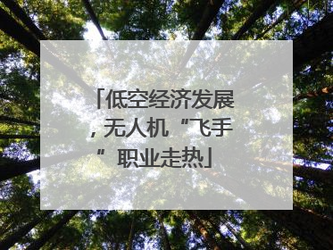 低空经济发展，无人机“飞手”职业走热