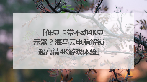 低显卡带不动4K显示器？海马云电脑解锁超高清4K游戏体验