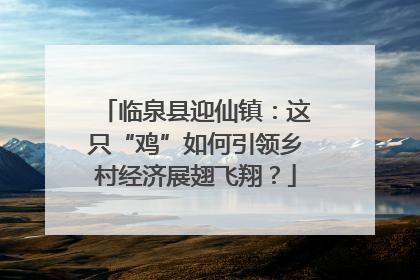 临泉县迎仙镇：这只“鸡”如何引领乡村经济展翅飞翔？