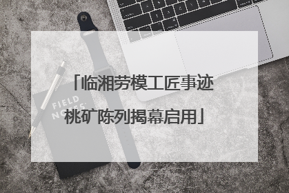 临湘劳模工匠事迹桃矿陈列揭幕启用