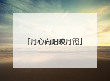 丹心向阳映丹霞