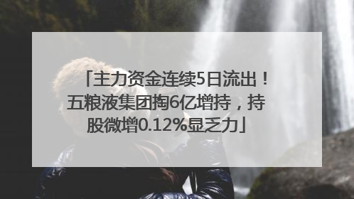 主力资金连续5日流出！五粮液集团掏6亿增持，持股微增0.12%显乏力